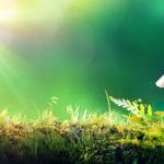 Conseil climatisation et pompe à chaleur